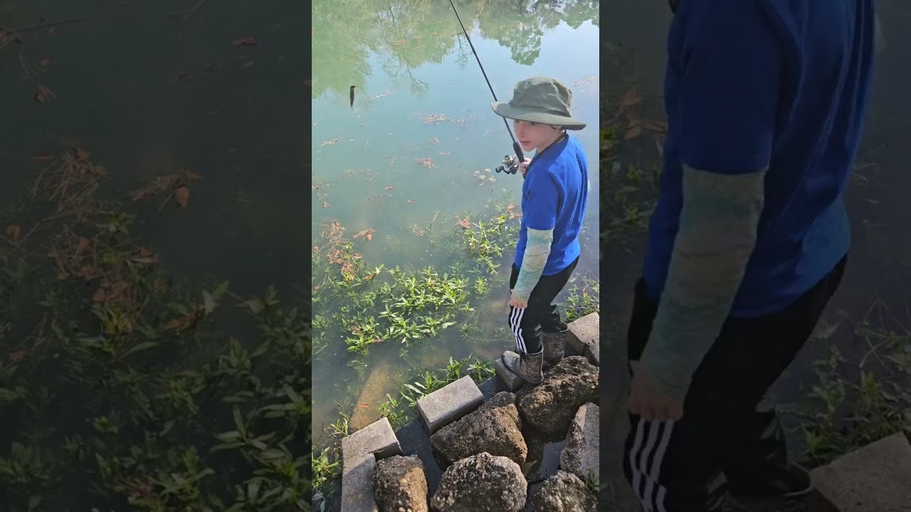 New Fish Trap Adventure