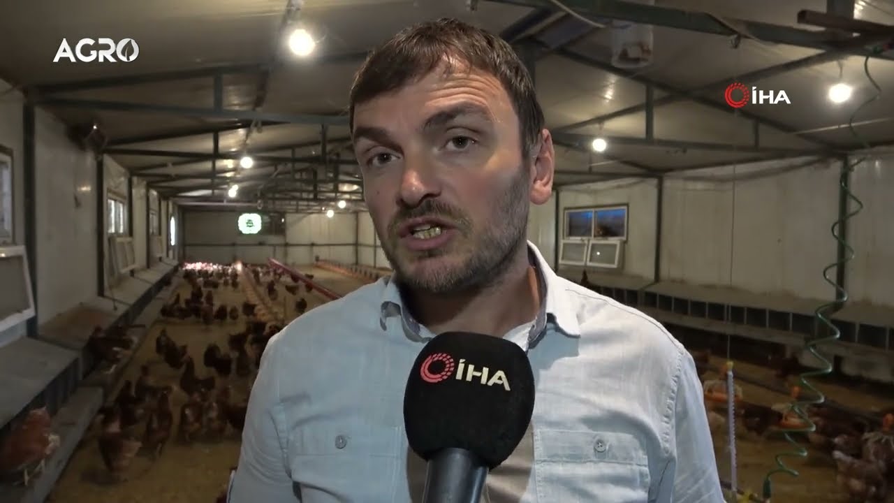 Yılda 40 Milyon Yumurta Üretimi! Resmen Yumurta Fabrikası / AGRO TV HABER