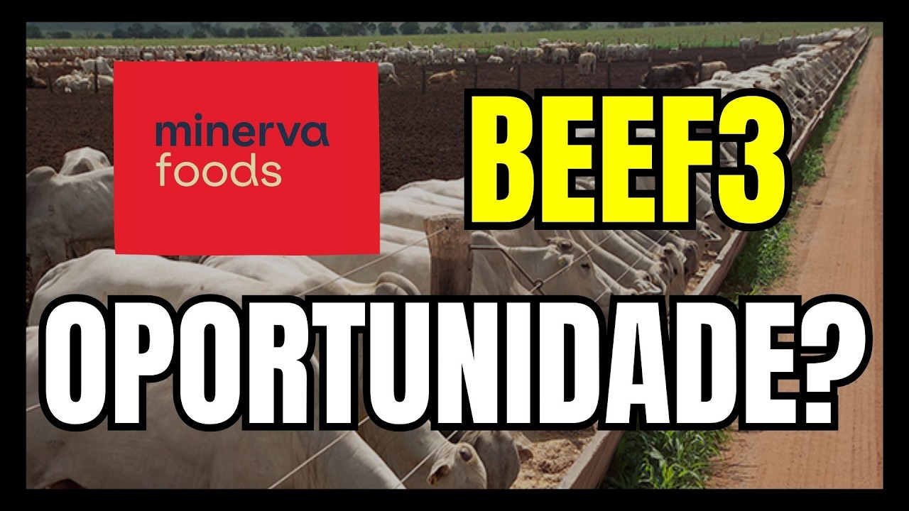 BEEF3 AÇÃO DESABOU HOJE O QUE ACONTECEU? Well Investidor