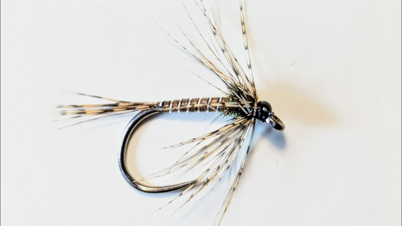 Moose Mane Soft Hackle #flytying #flyfishing #wetfly #troutflies #shotaflies #Bestfly #graylingflies