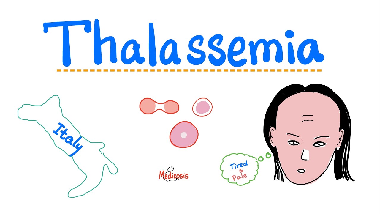 Thalassemia - Introduction - Hematology Sereies