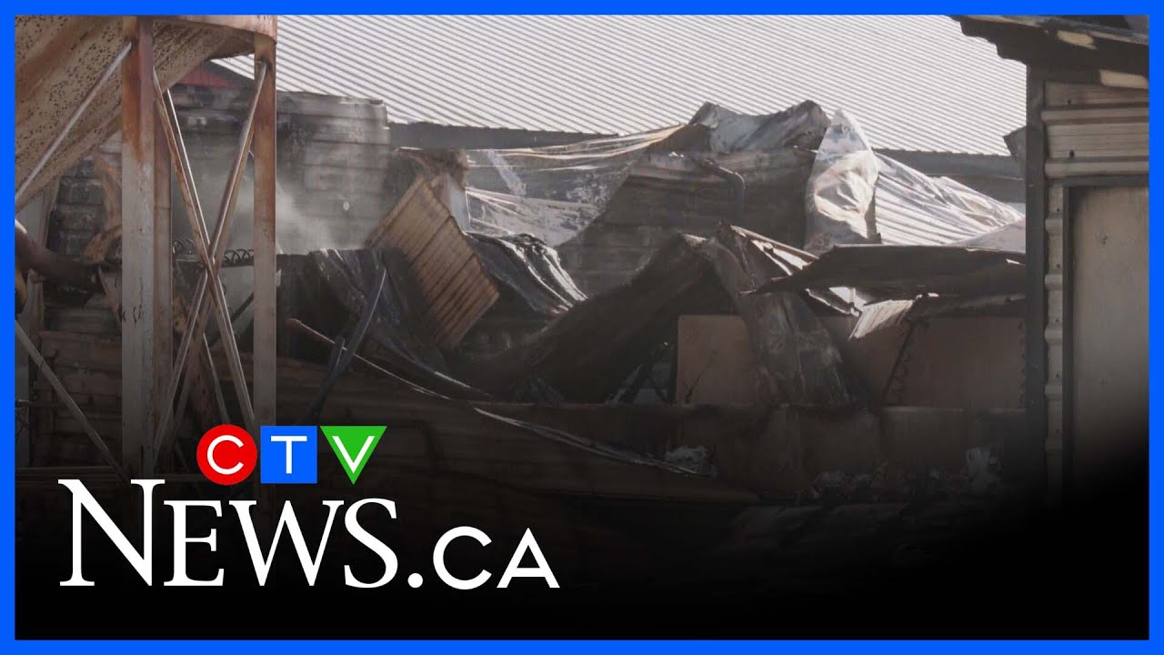 Parkhill barn fire kills livestock