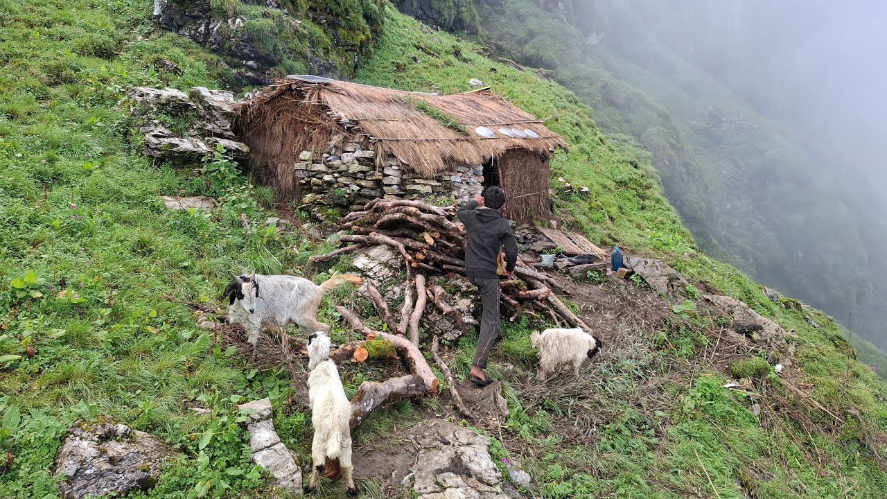 Traditional Nepali Himalayan Village Life During Rainy Season ||Rural Completion Video Into Nepal ||