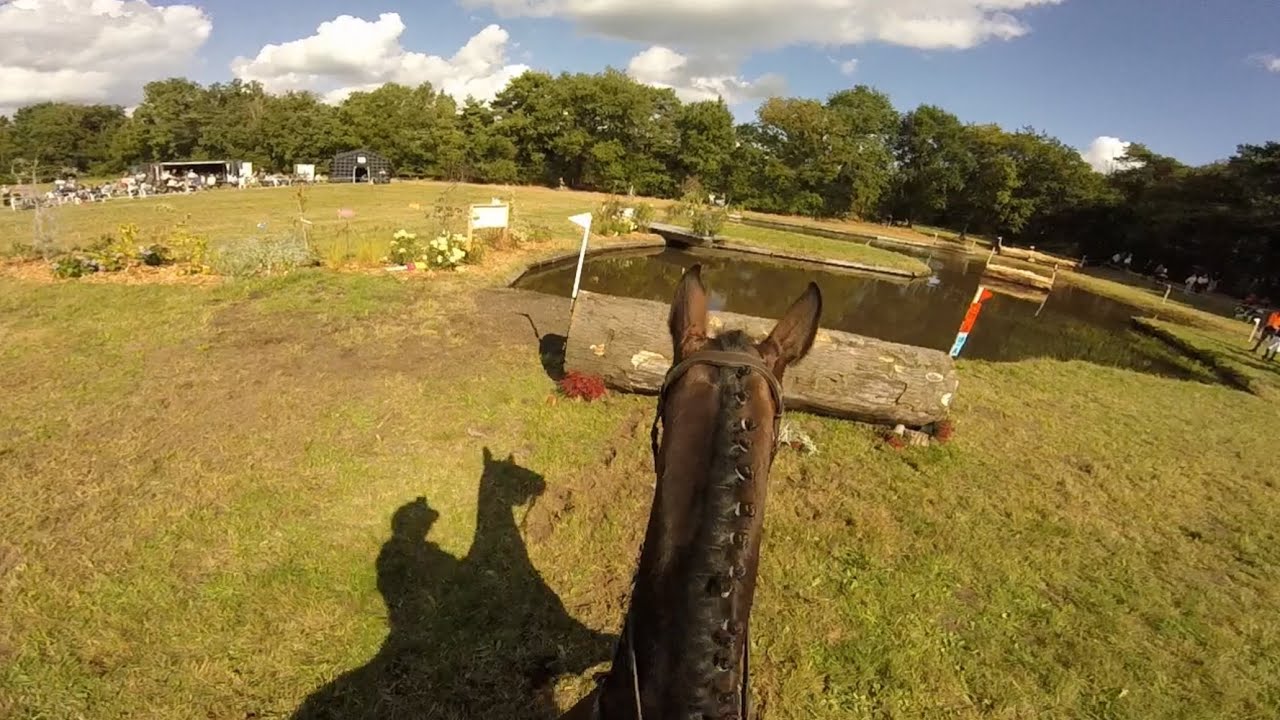 SGW Bollert Brons 2025 - L Paarden