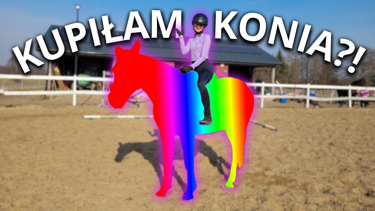 KUPIŁAM KONIA?!