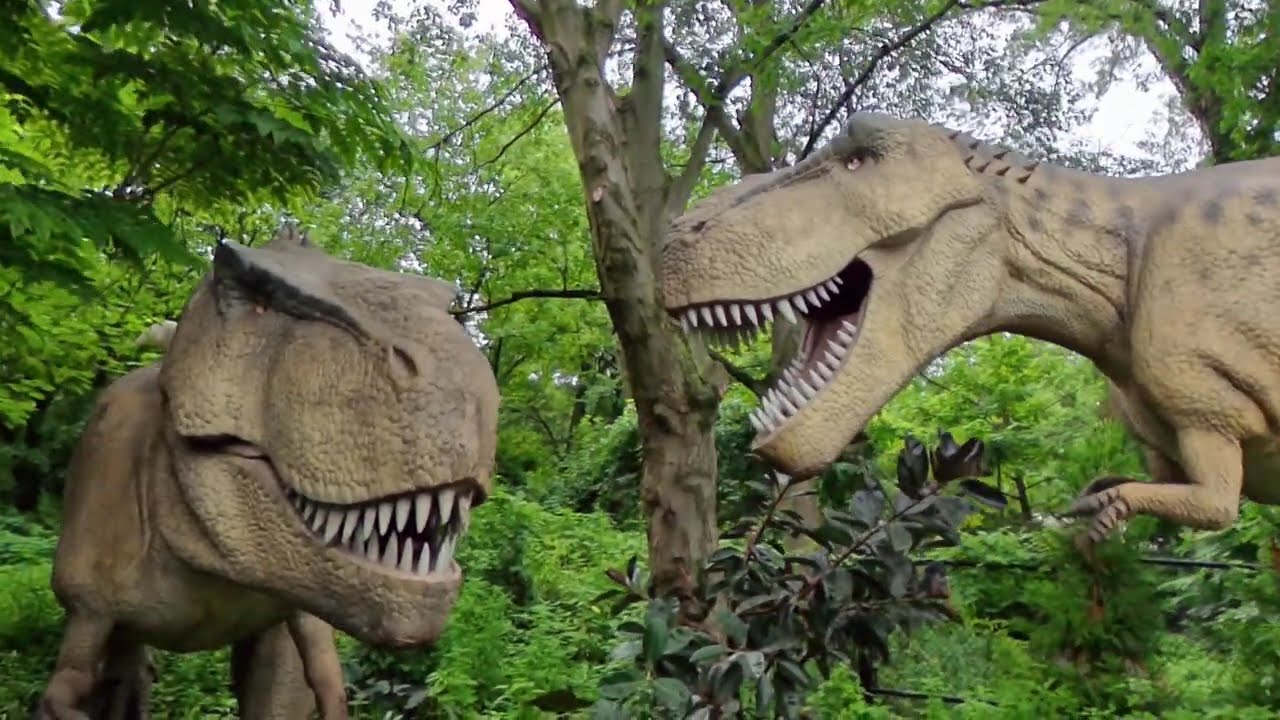 Bronx Zoo Member's Day July 10 2025