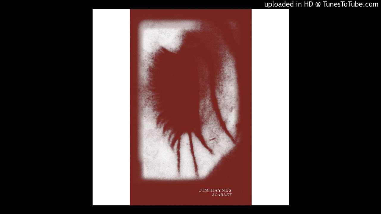 Jim Haynes &ndash; Venal