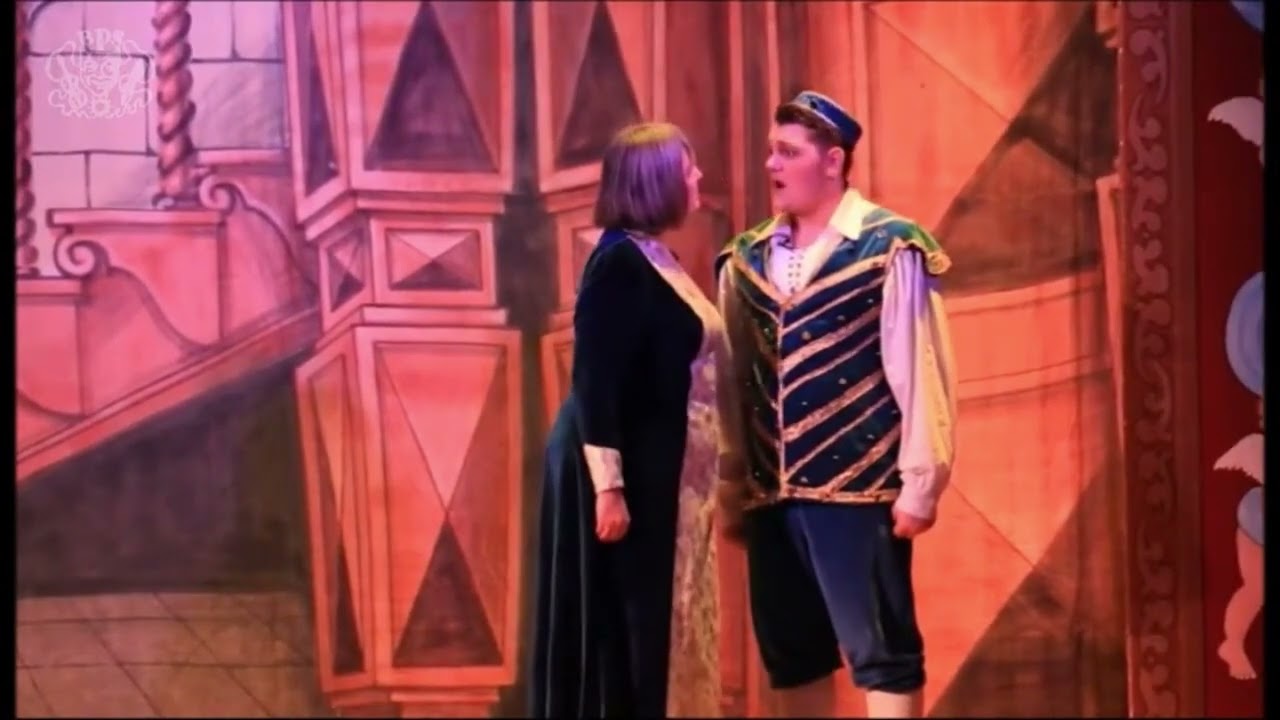 Buttons Highlights from Cinderella 2017