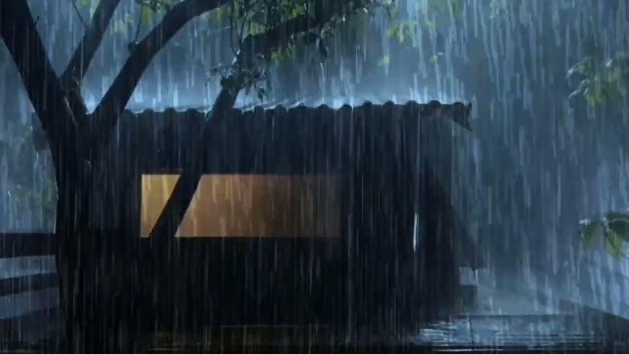 Gentle Rain at Night 🌧️ | Peaceful Ambience for Sleep & Relaxation