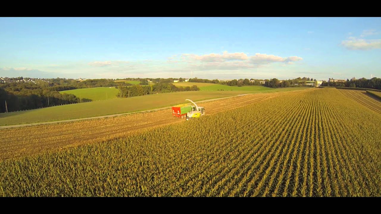 Corn compilation 2014