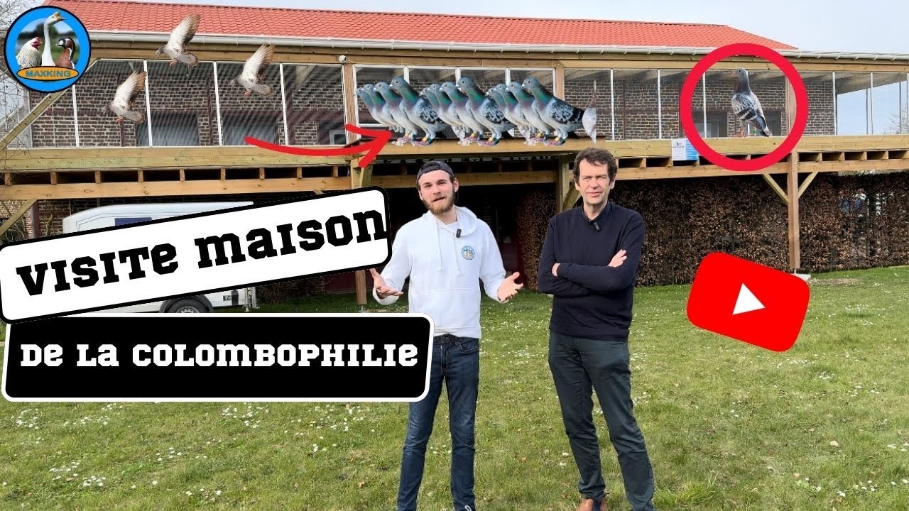 VISITE DU PLUS GRAND SITE DÉDIÉ AU PIGEON VOYAGEUR