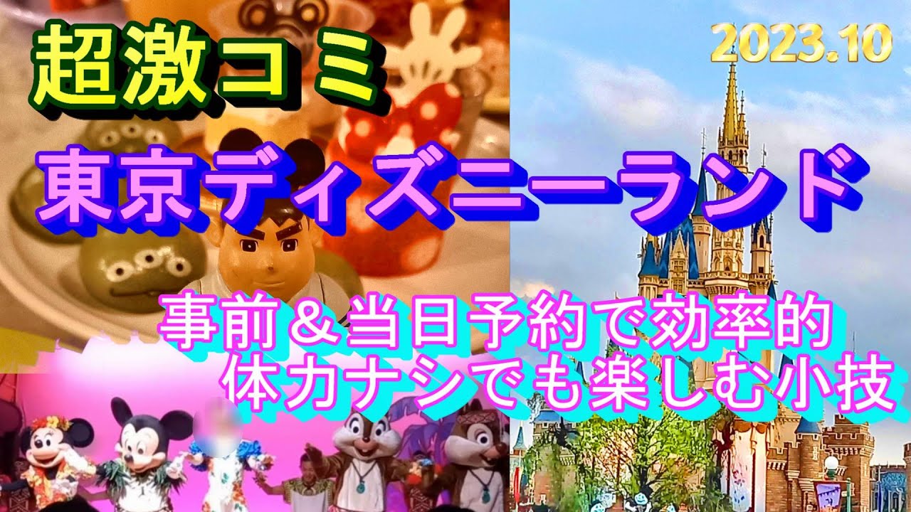 【東京ディズーニーランド】超激コミ！予約ナシではアトラクション待ちで１日が終わる❕😱