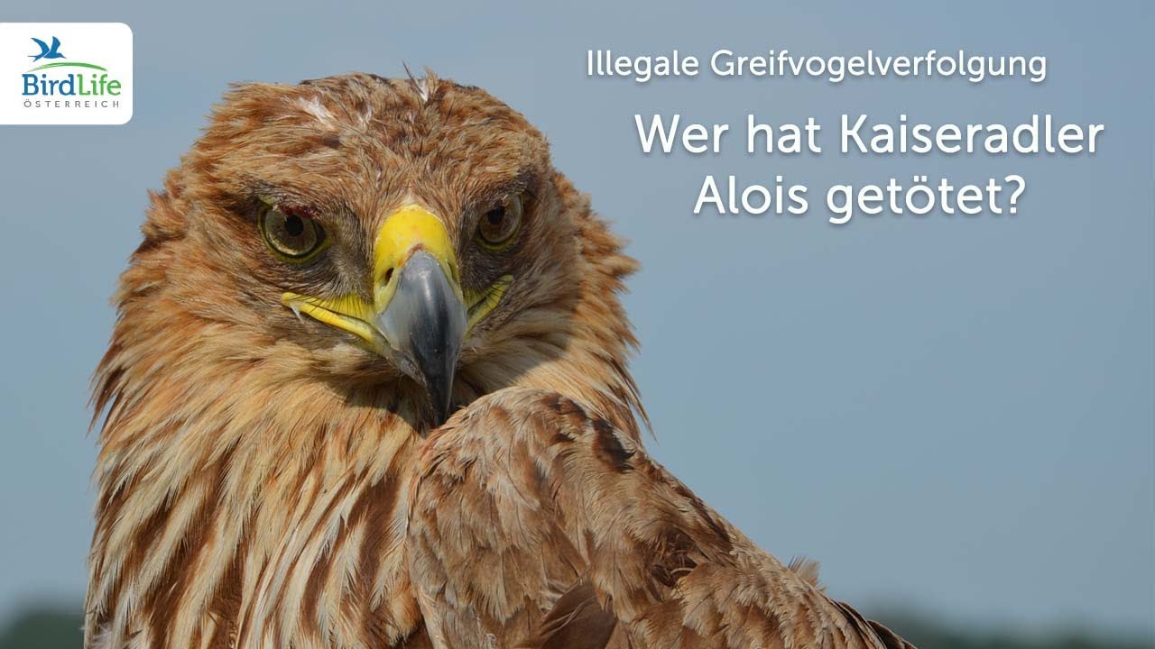 Wer hat Kaiseradler Alois get&ouml;tet?