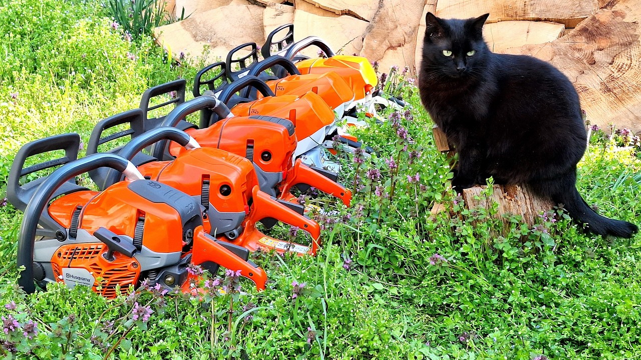 564xp vs. 400c vs. 562mk2 vs. 400.1C vs. 363 vs. 572xp - Husqvarna versus Stihl !!!