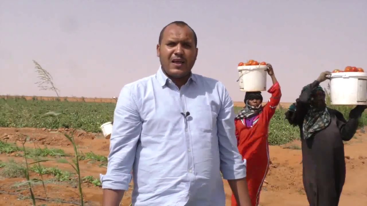 برنامج سنابل السودان بلد الخير ولا احد يغني له زيارة شركة الكلثوم بغرب أم درمان