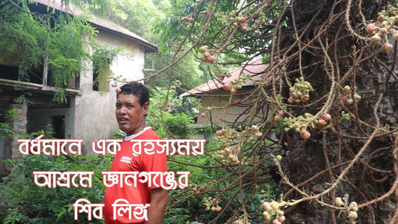 বর্ধমানের এক রহস্যময় আশ্রমে জ্ঞানগঞ্জের শিব লিঙ্গ- Shiva Lingam of Gyanganj in a ashram of Burdwan..