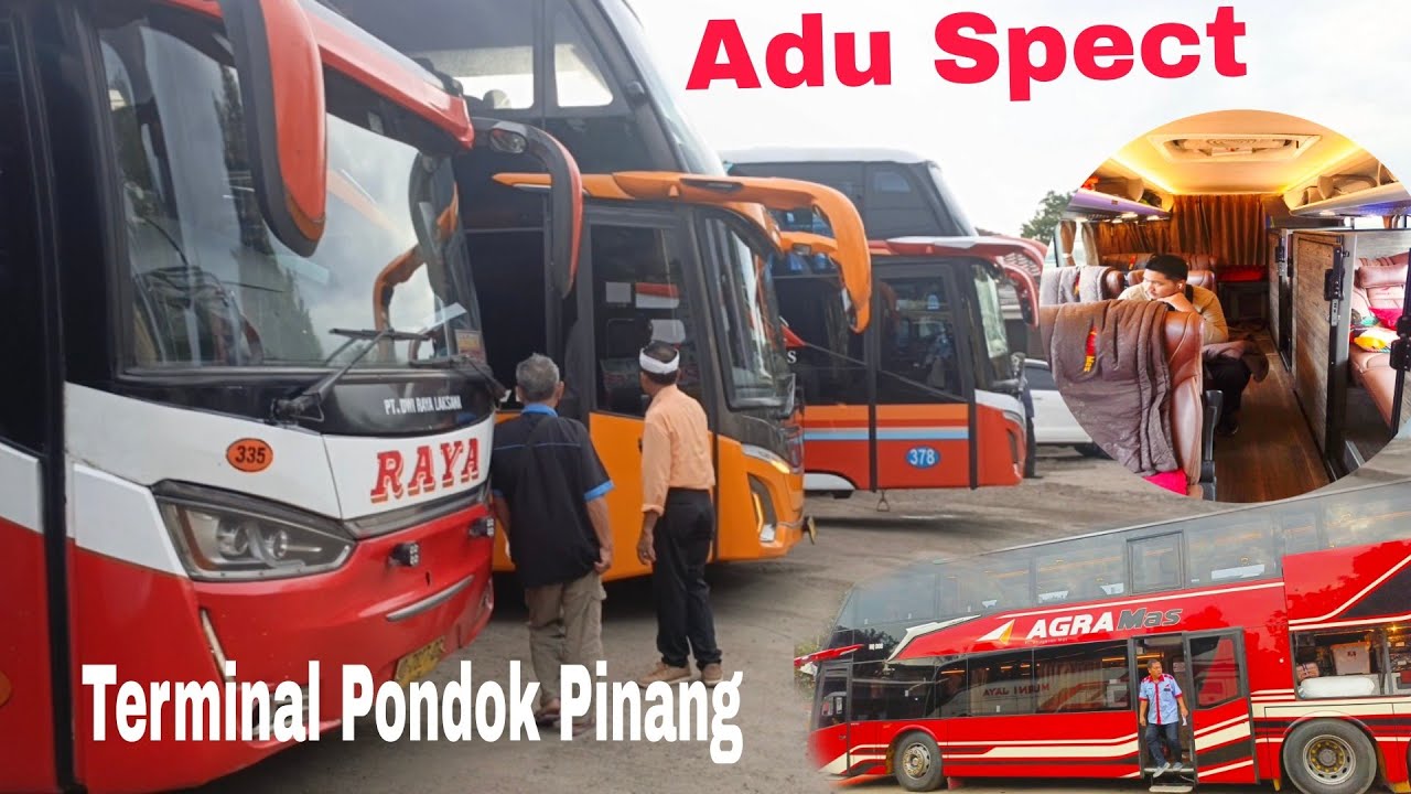 ADU SPECT‼️Hunting Bus Terminal Pondok Pinang ‼️Puasa ke tujuh #bus #busmania #busmaniacomunity 