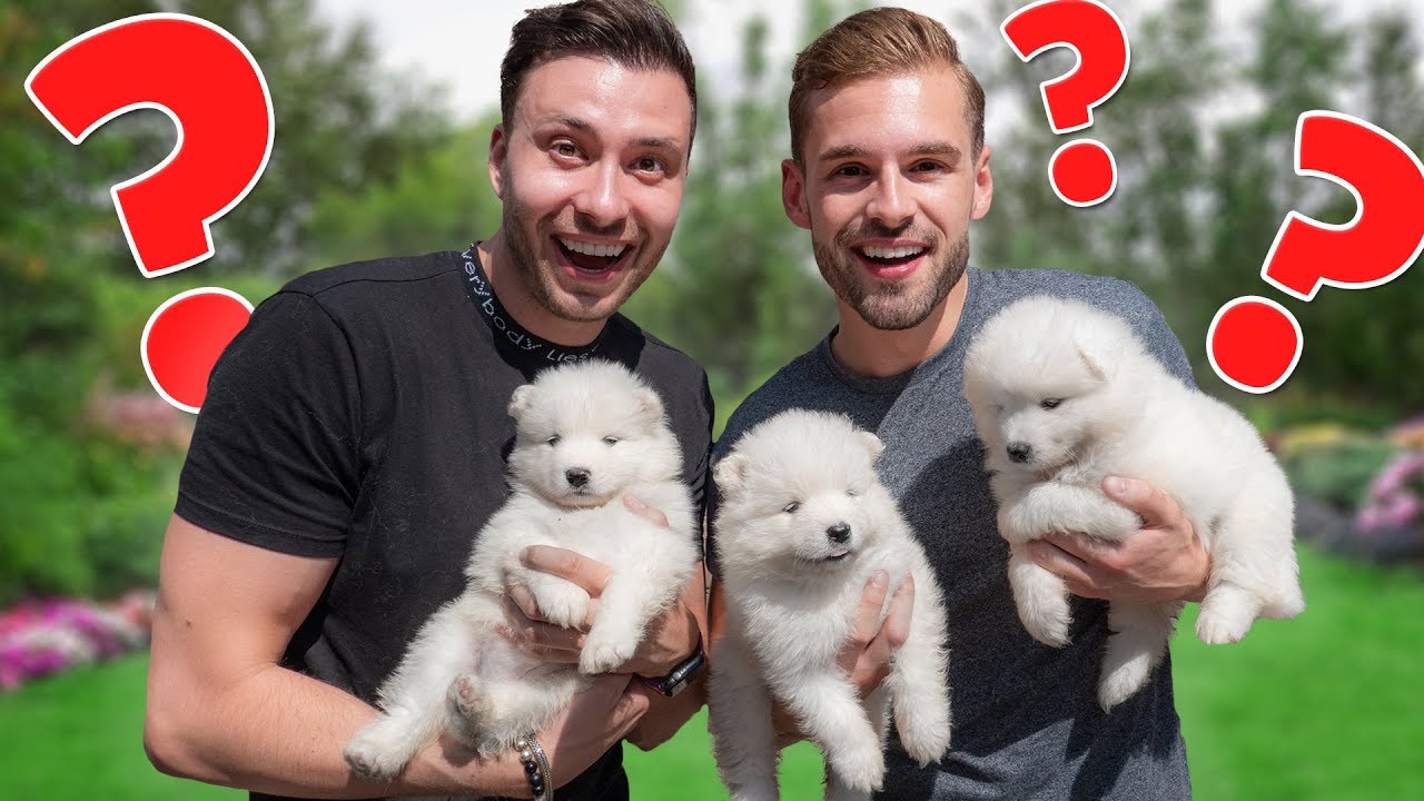 ONZE PUPPY UITKIEZEN! *Eerste ontmoeting*