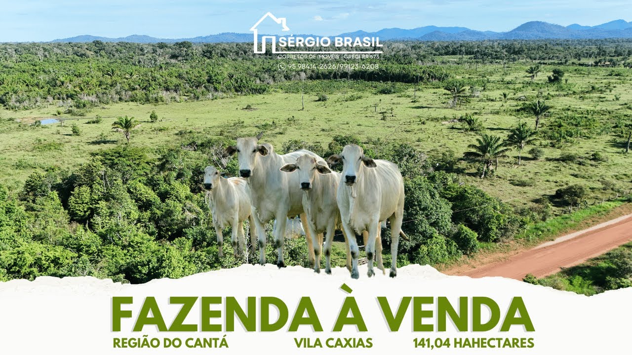 Fazenda à venda | 141,04 ha | Região do Cantá | Vila Caxias
