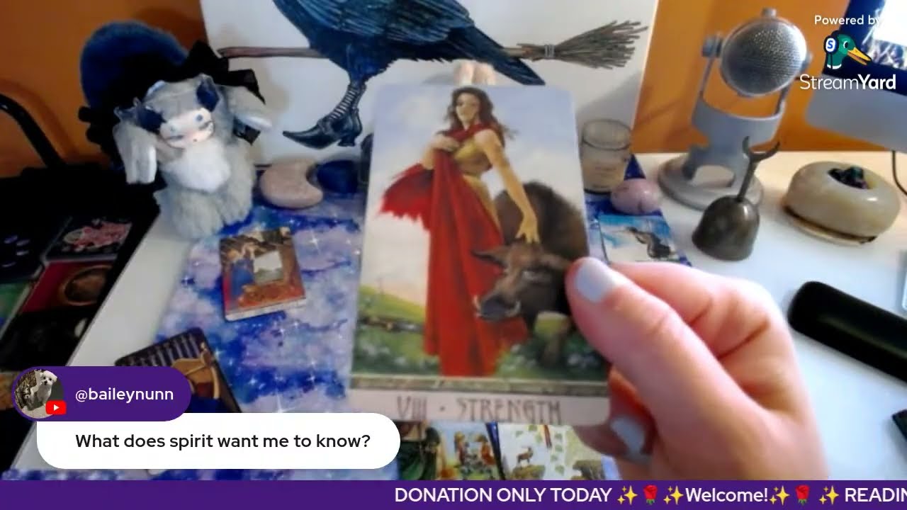 ❄️ LIVE TAROT READINGS ❄️