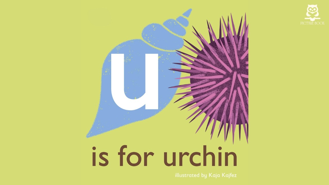 U is for Urchin (The Animal Alphabet Library) with Audio, illustrated by Kaja Kajfez | 2021