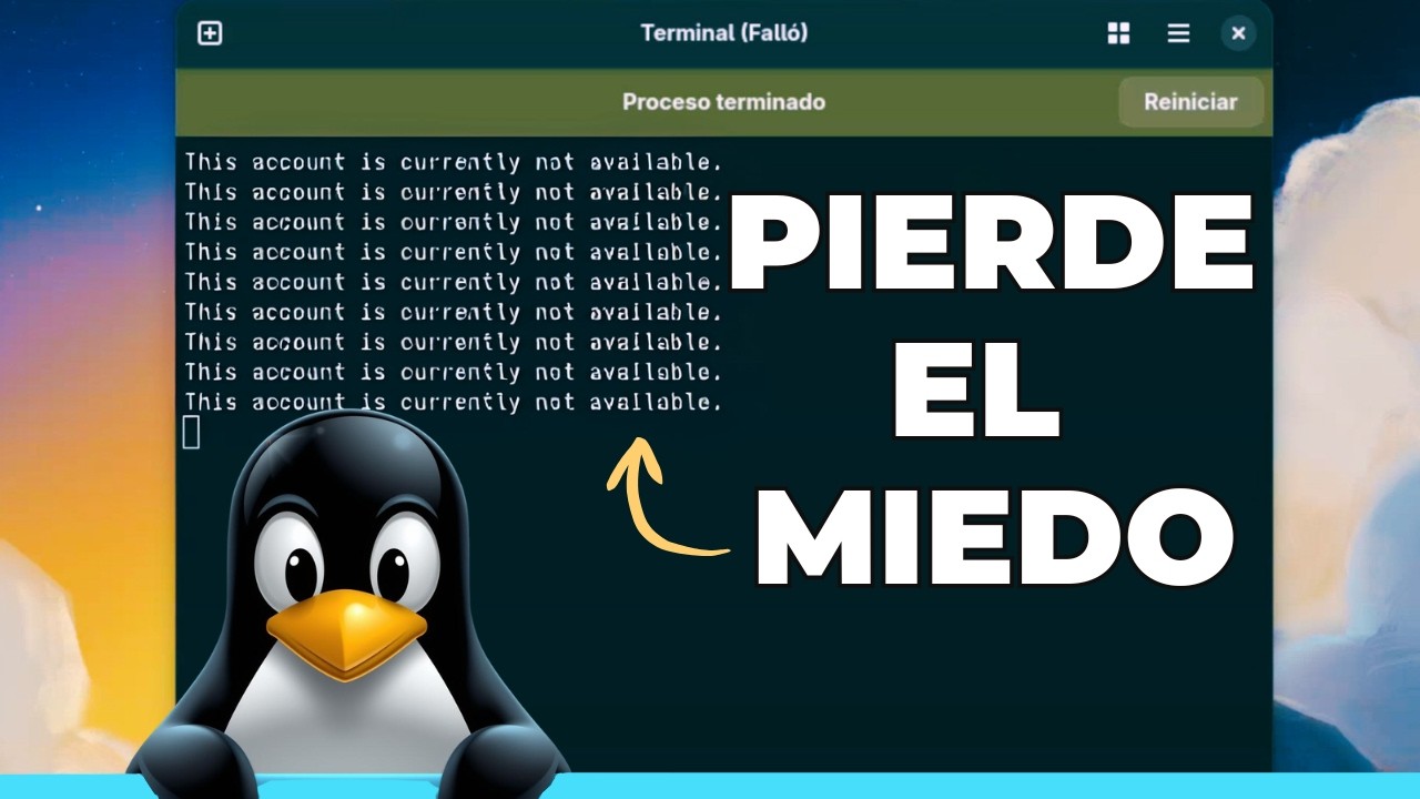 Linux desde cero: tus primeros pasos en la terminal