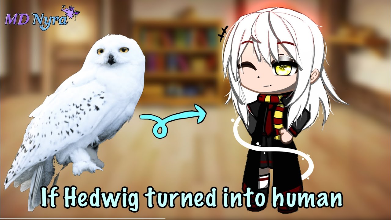 If  Hedwig turned into human / Harry Potter GCMM / By MD Nyra
