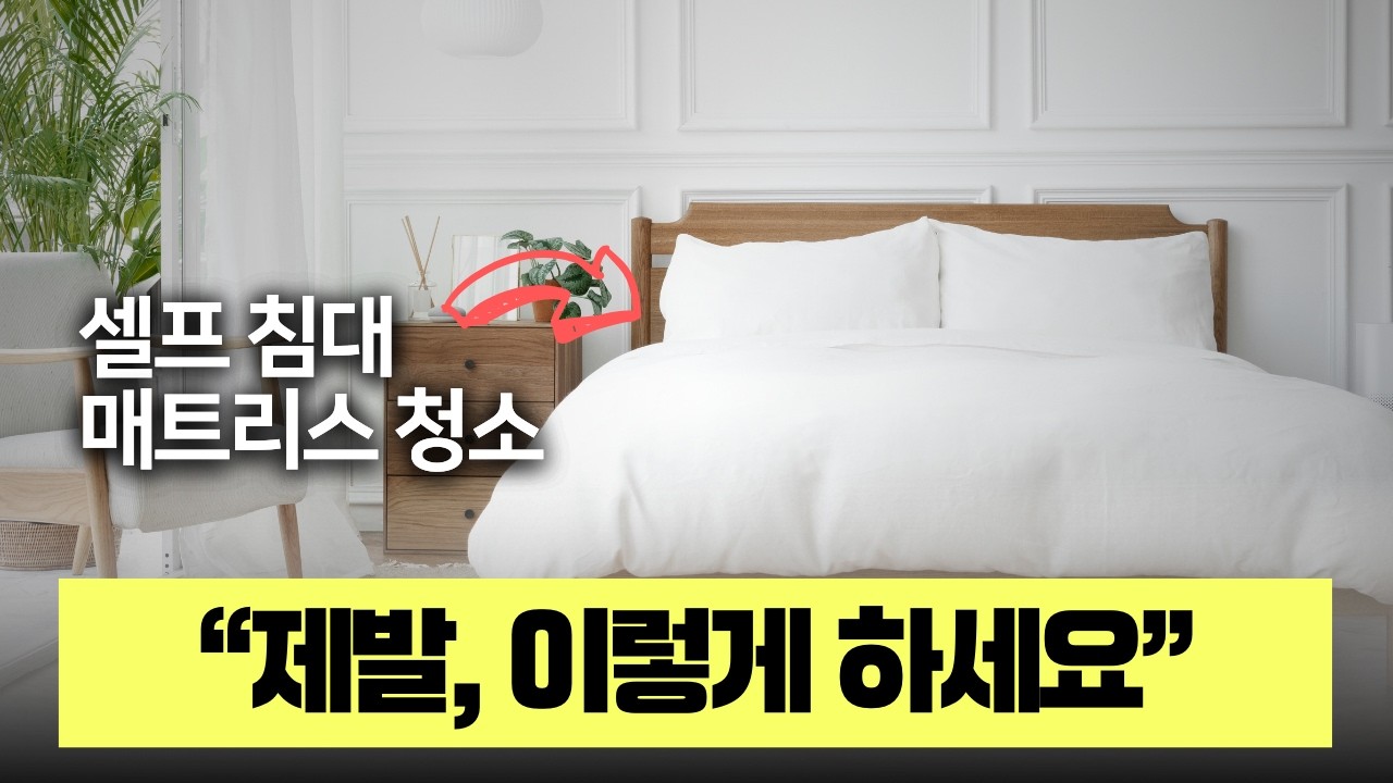 부작용이 큰 셀프 침대 매트리스 청소, 이렇게 하는겁니다!⎟지클랩🧹