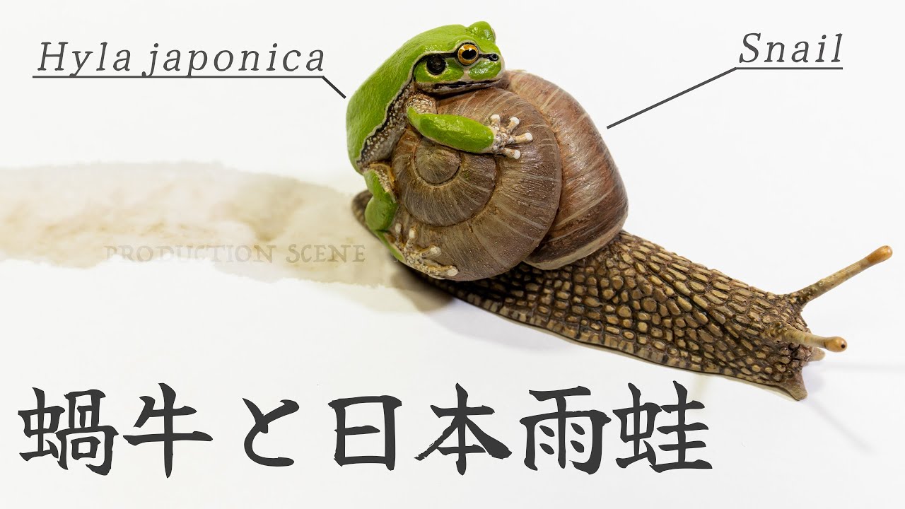 Snail + ニホンアマガエル / 粘土造形制作風景▲Japanese Tree Frog Sculpture