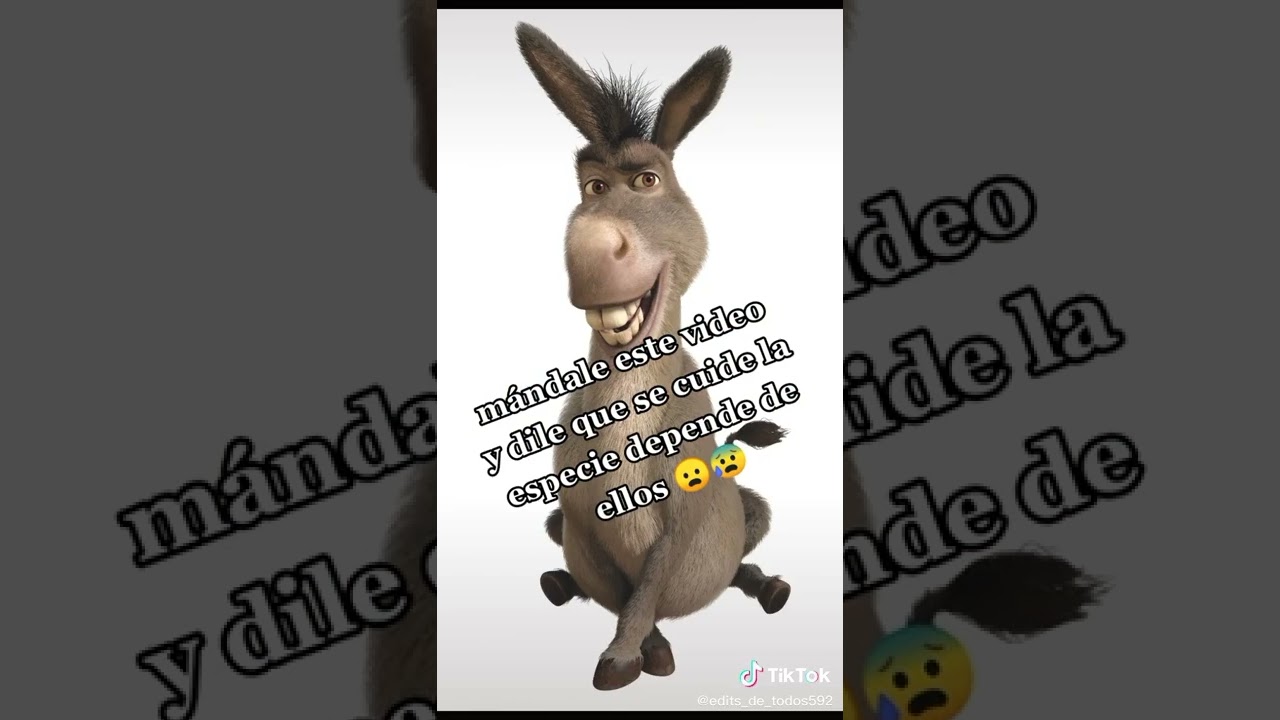 Mandale esto a tu hermano o hermana