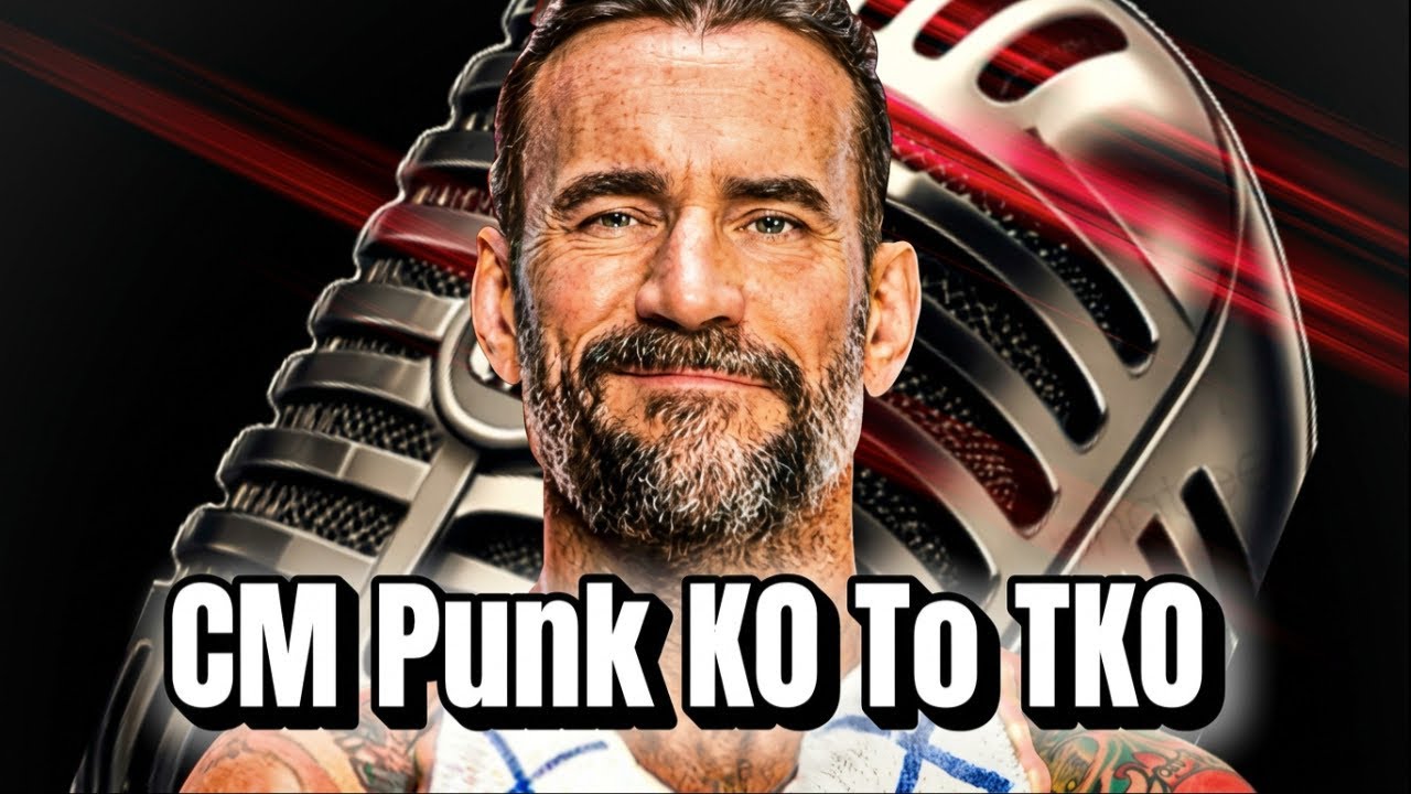 CM Punk нокаутировал Романа Скалу, но&hellip;