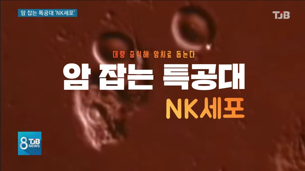 [TJB 대전&middot;충남&middot;세종뉴스] 암 잡는 NK세포.. 