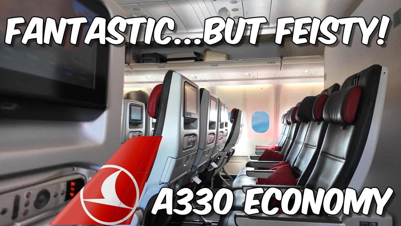 Лучшая авиакомпания Европы? Обзор эконом-класса Turkish Airlines на самолете A330.