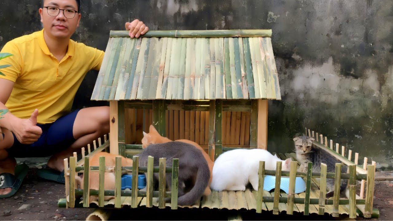 Full 5 day process of building a house for abandoned cats.