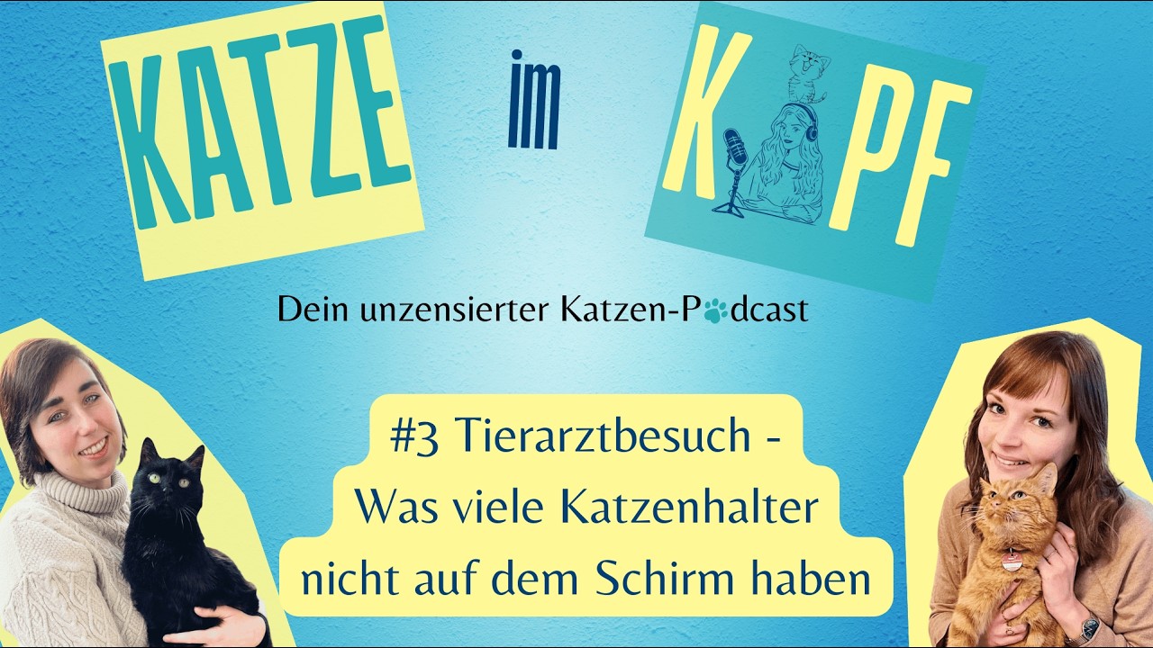 #3 Tierarztbesuch - Was viele Katzenhalter nicht auf dem Schirm haben