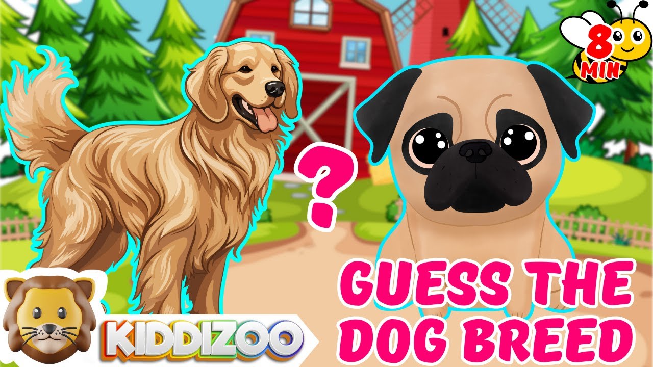Guess the Dog Breed for Kids | Naming Type of Dogs in 5 Seconds