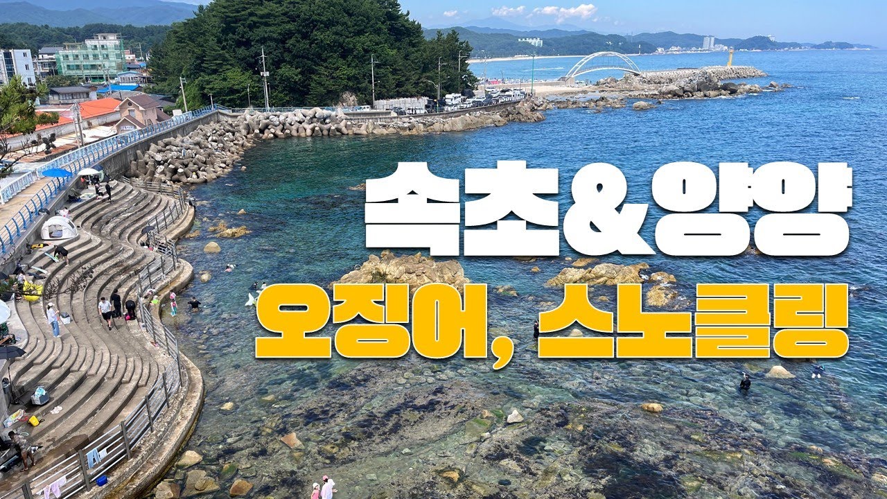 [강원도] 남애항 바닷속 어떤데?! | 맛집 & 물놀이 여행로그 | 속초 마리비스타호텔
