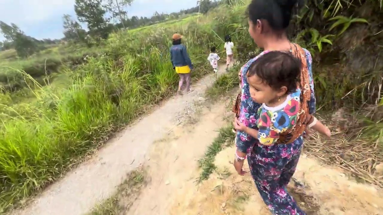 NGAMBIL SAYUR JIPANG KE LADANG DIGENDONG BOU