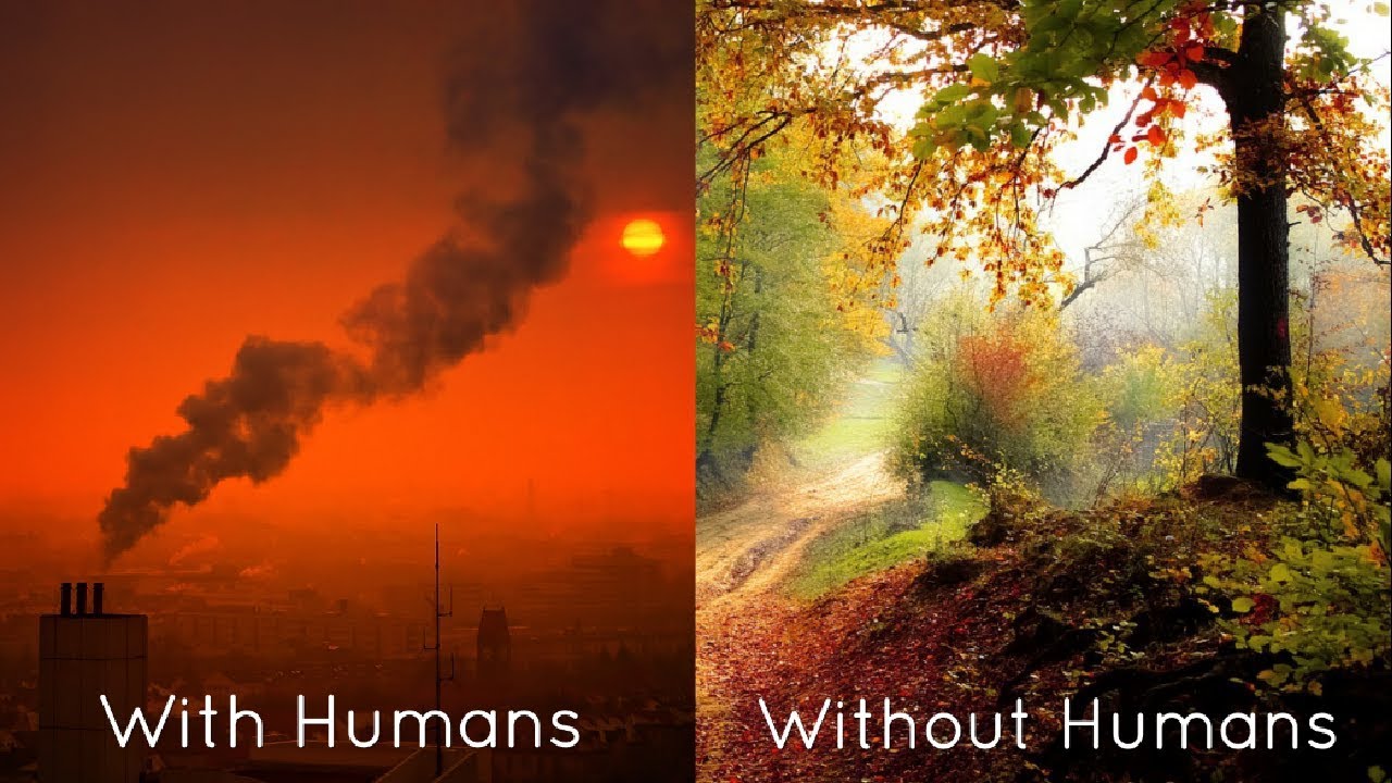 What If there were no Humans?