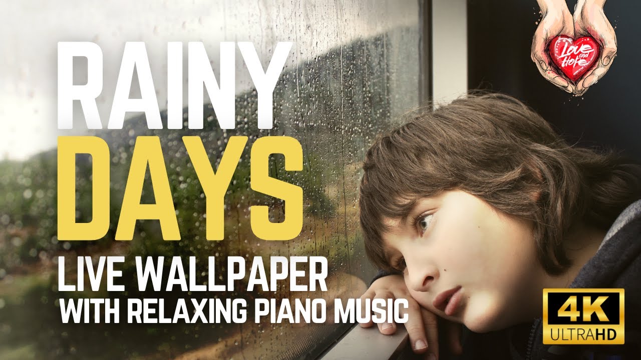 Rainy Days | Rain Live Wallpaper in 4K HD with relaxing music