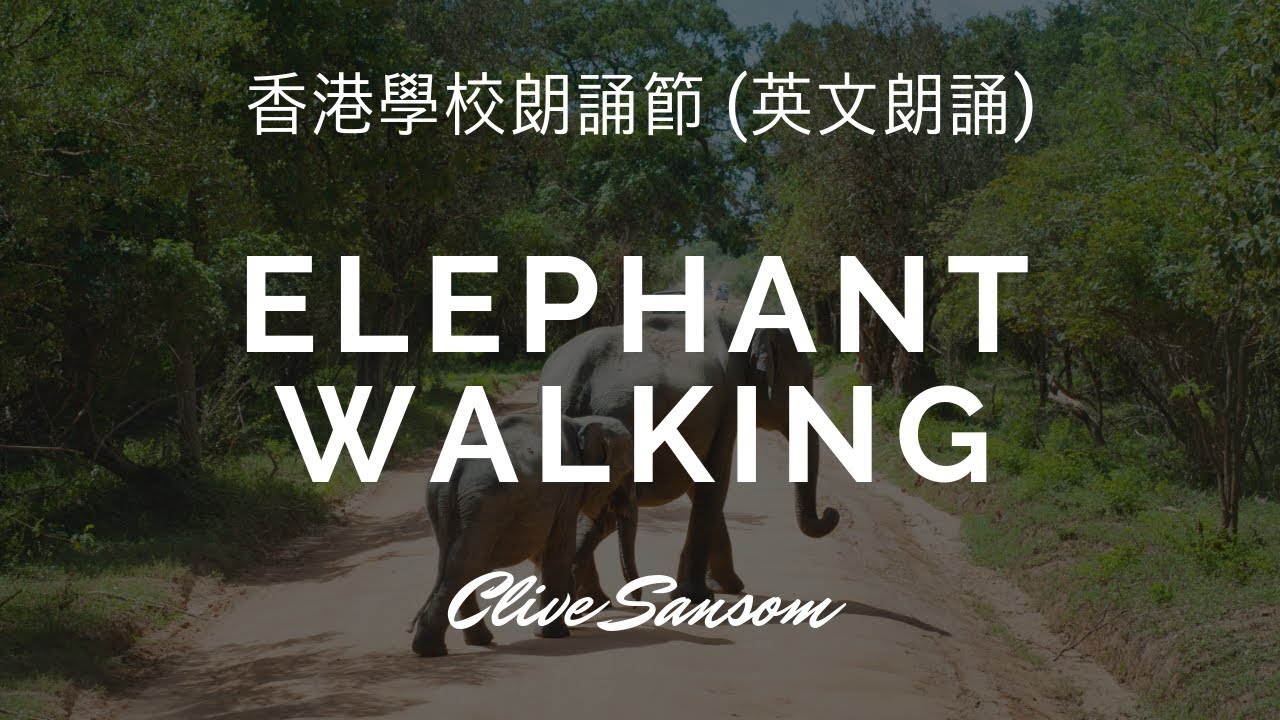 Elephant Walking by Clive Sansom