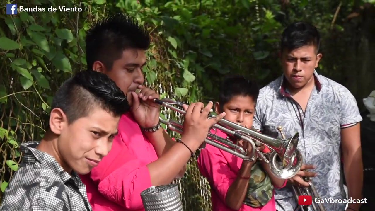 Banda Palo de Rosa - El Manicero