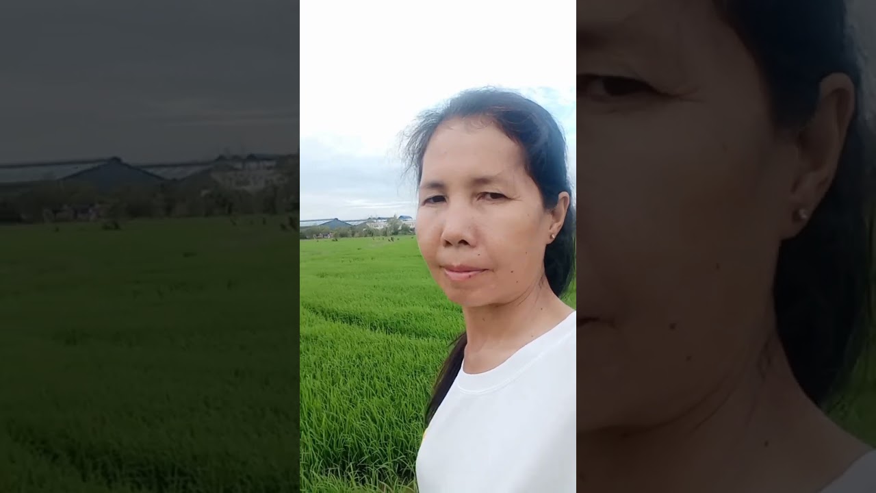 ទេសភាពស្រុកស្រែខៀវស្រងាត់