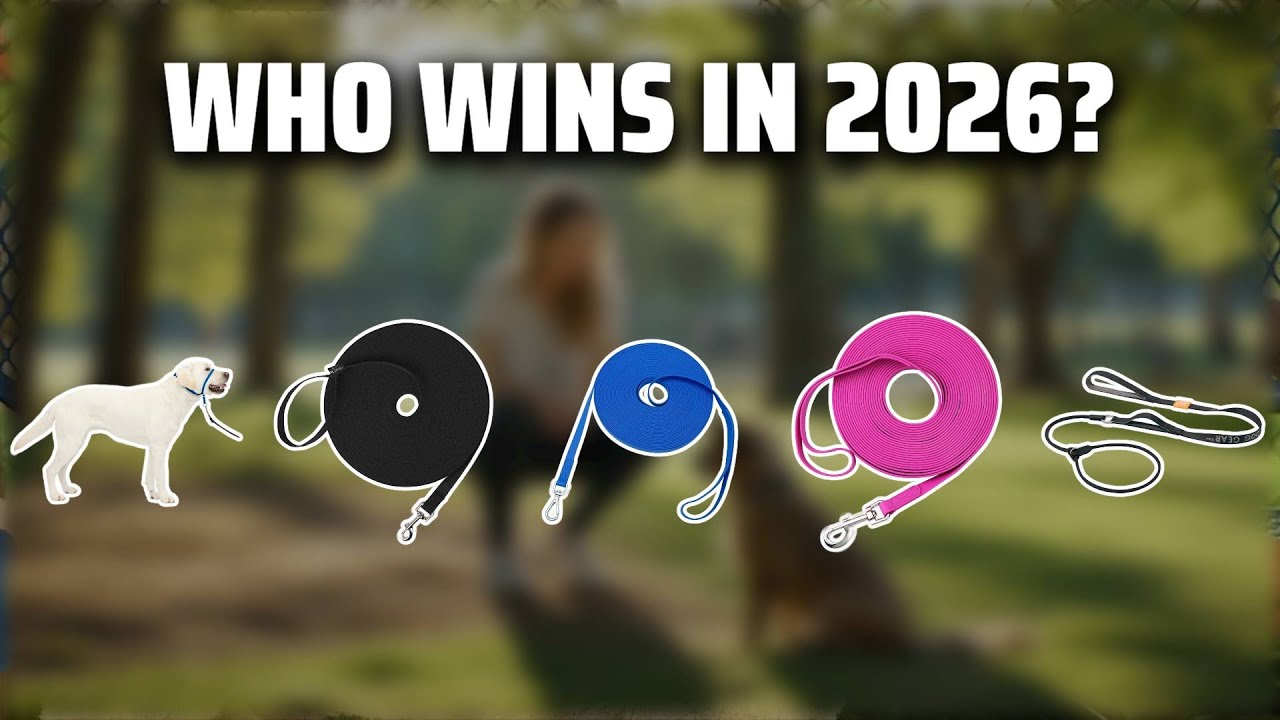 The Top 5 Best Long Lead Leash in 2026 - Must Watch Before Buying!