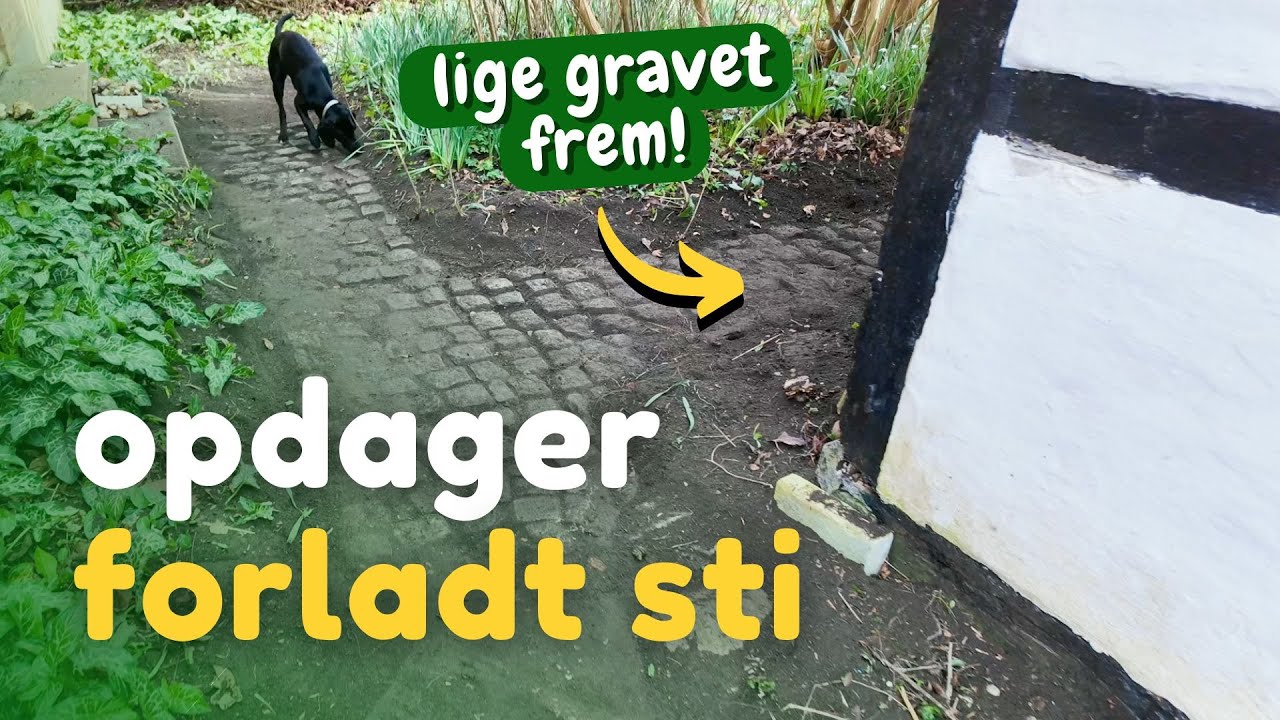 Graver glemt sti frem + mere nedrivning af stuen
