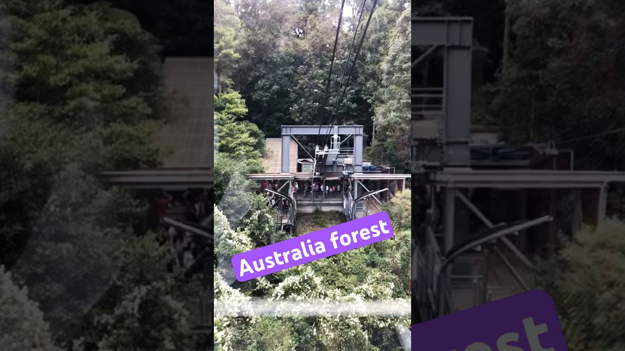 Australia forest visit💯🔥