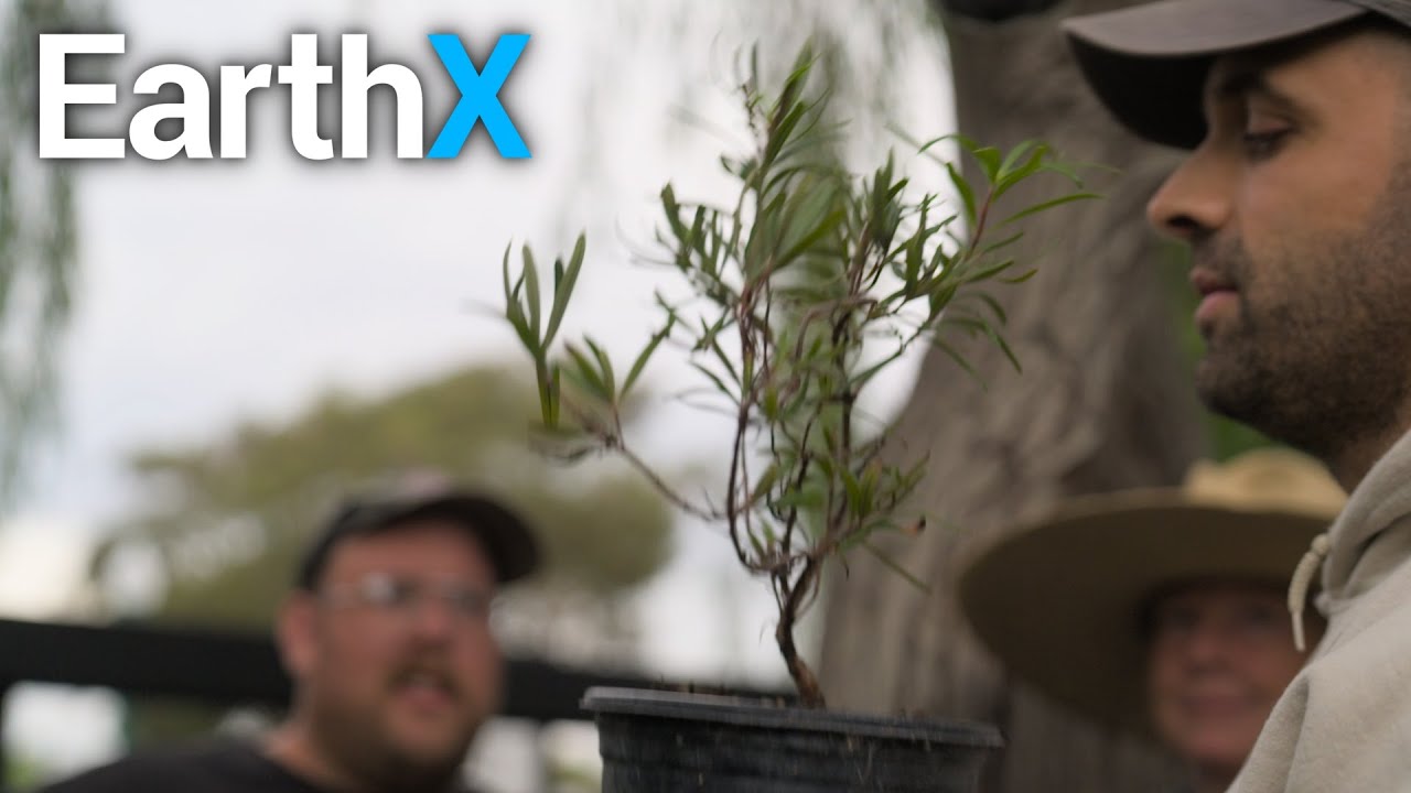 Finding the ULTRA RARE Baja Birdbush | Kill Your Lawn | EarthX