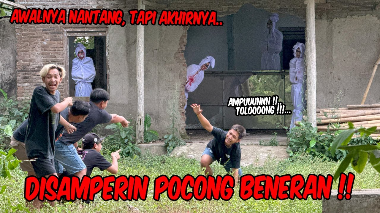 Jangan main-main dengan P0C0NG !! AWALNYA NANTANG HINGGA AKHIRNYA..