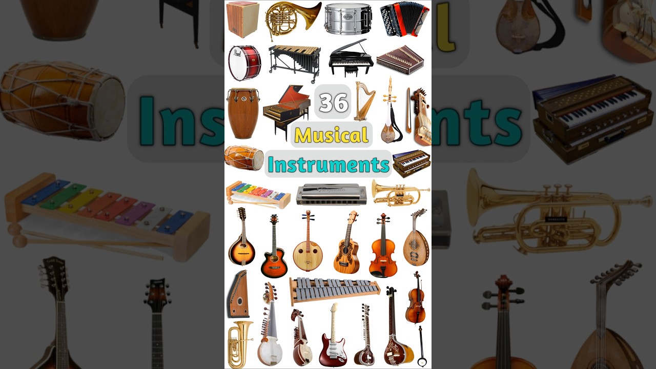 Musical Instruments Name : Part- 01 #musicalinstrument #musicalinstruments #musicinstruments #music