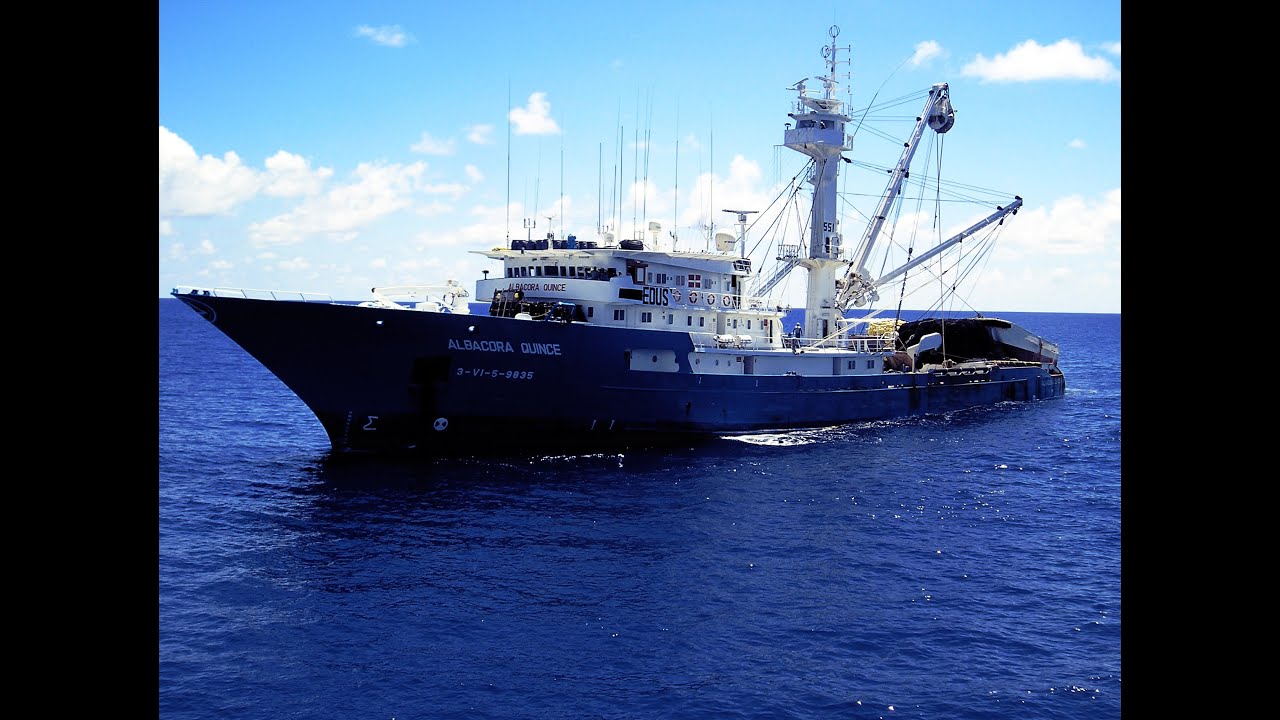 Atunero Albacora  XV (2008)